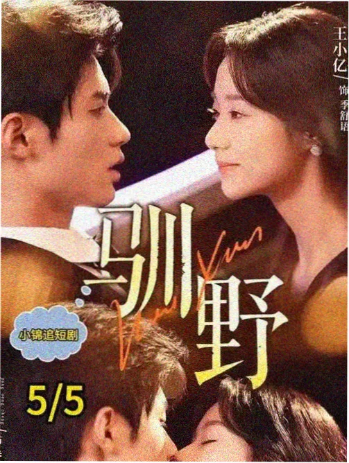 山海食肆 美食治愈剧海报